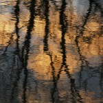 Brian Alexander--Sunrise Reflection